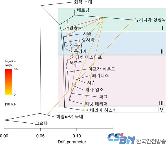 건국대 박찬규 교수팀, 게놈 분석으로 한국 토종개 기원 최초로 밝혀