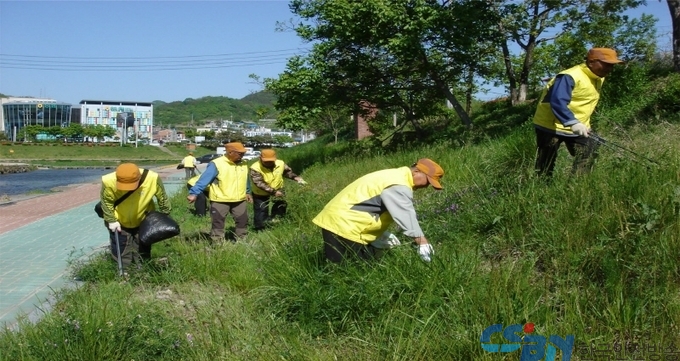 노인사회활동지원사업(영동천 환경정화활동-공공환경지키미)
