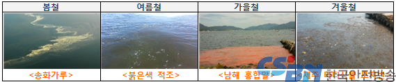 계절?지역별 해양오염 오인신고 예